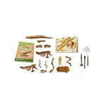 T-REX FOSSZÍLIA ÁSATÁS - A DOBOZA SZAKADT, DE HIÁNYTALAN